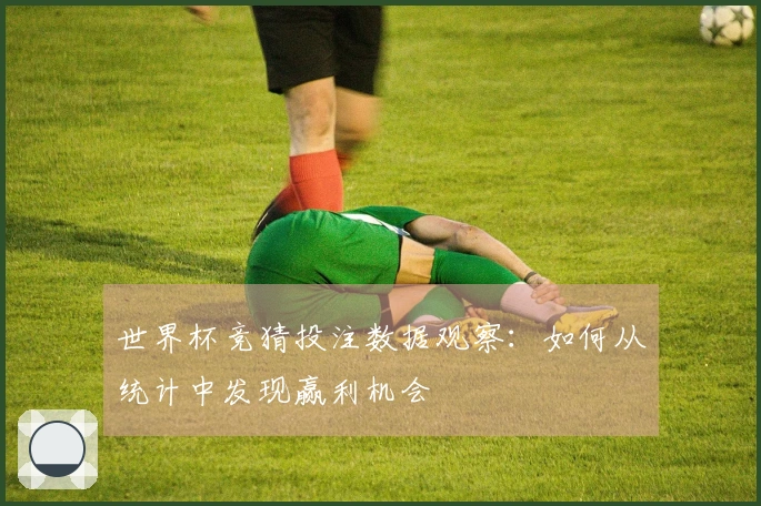 世界杯竞猜投注数据观察：如何从统计中发现赢利机会