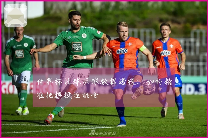 世界杯让球买球数据透视：如何精准把握投注机会