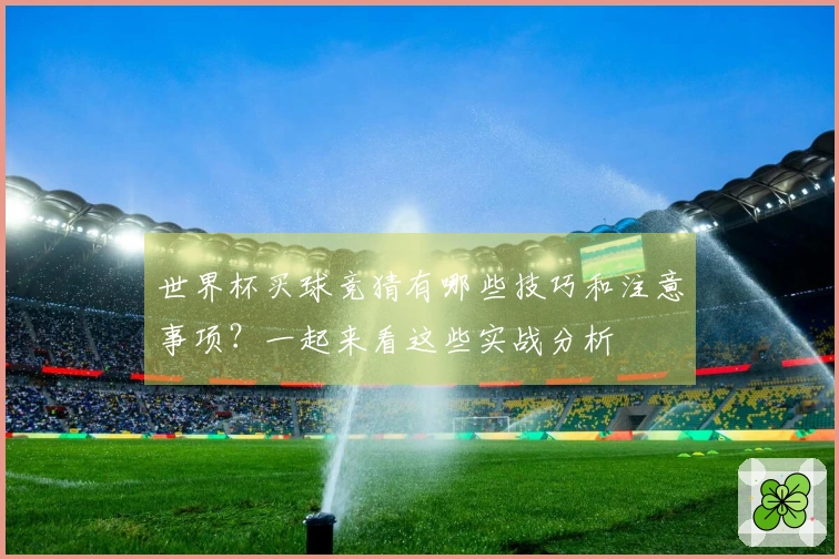 世界杯买球竞猜有哪些技巧和注意事项？一起来看这些实战分析