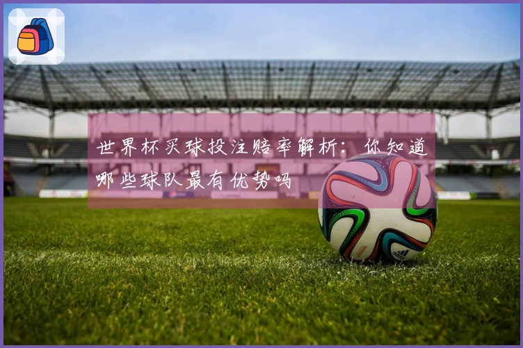 世界杯买球投注赔率解析：你知道哪些球队最有优势吗