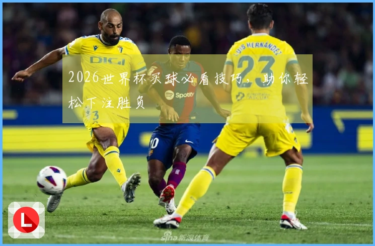 2026世界杯买球必看技巧，助你轻松下注胜负