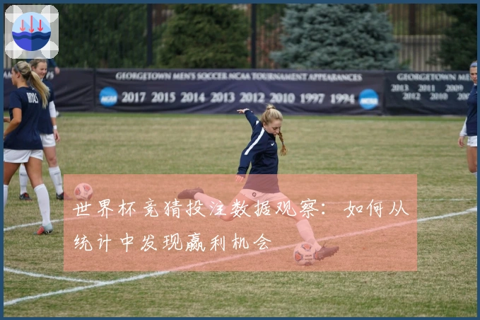 世界杯竞猜投注数据观察：如何从统计中发现赢利机会
