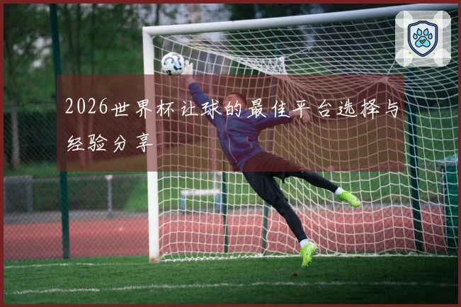 2026世界杯让球的最佳平台选择与经验分享