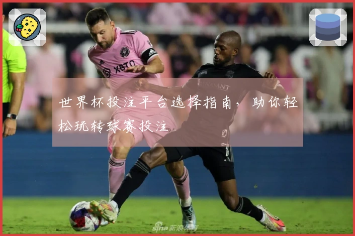 世界杯投注平台选择指南，助你轻松玩转球赛投注