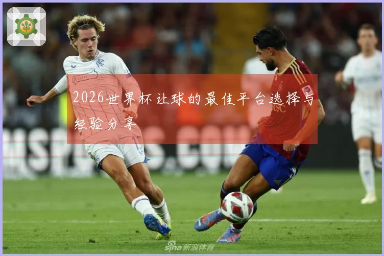 2026世界杯让球的最佳平台选择与经验分享