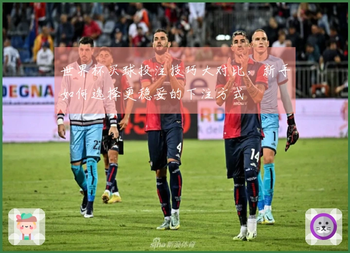 世界杯买球投注技巧大对比，新手如何选择更稳妥的下注方式