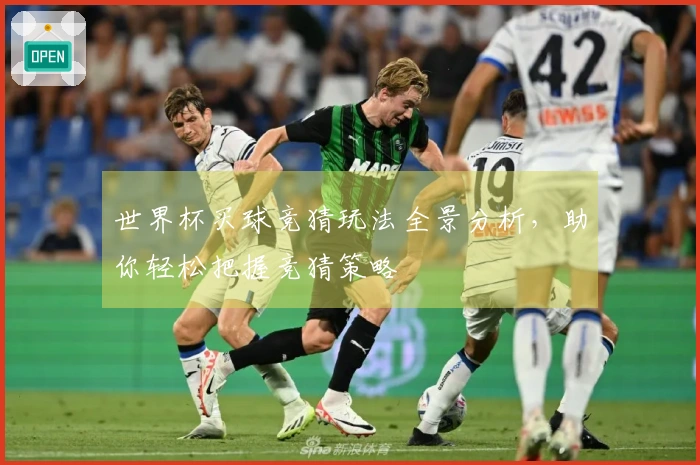 世界杯买球竞猜玩法全景分析，助你轻松把握竞猜策略