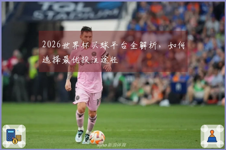 2026世界杯买球平台全解析，如何选择最优投注途径