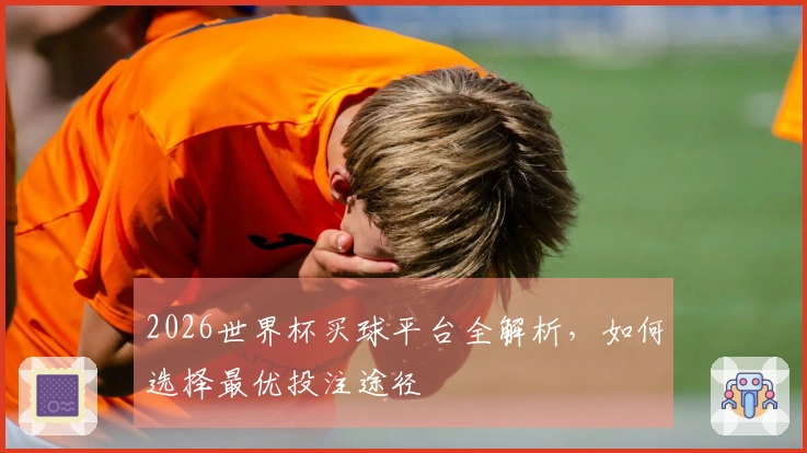 2026世界杯买球平台全解析，如何选择最优投注途径